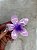 Hair Clip | Flor - Imagem 6