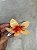 Hair Clip | Flor - Imagem 7