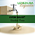Levedura Kveik SMART Liquida (Similar Voss) - Imagem 1