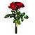Buquê De Rosas Vermelhas - Imagem 1