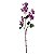 Galho De Lilac - Imagem 1