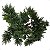 Bonsai Cipreste Cedro Artificial Premium Luxo Grande 40cm - Imagem 6