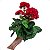 Buquê De Gerânio Artificial Vermelho Aveludado - Imagem 2