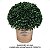 Topiaria Buchinho Artificial Premium 28CM (meia bola) - Imagem 5