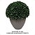 Topiaria Buchinho Artificial Premium 32CM (meia bola) - Imagem 5