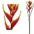 Heliconia Tropical Artificial Premium 90CM - Imagem 1