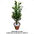 Buque de Capim com Mini Flores Artificial Liquidação - Imagem 4