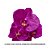 Orquidea Phalaenopsis Artificial Premium 85cm - Imagem 5