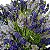 Buque de Lavanda Artifical 48CM Lilás - Imagem 6