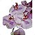 Orquidea Phalaenopsis 6 Flores Lilás Artificial Premium 72CM - Imagem 4