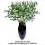 Galho De Flor De Cera Hoya Carnosa Artificial Kit Com 3 - Imagem 4