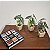 Conjunto 3 Mini Vasos Copo de Leite Alocasia e Caladio Artificiais - Imagem 4