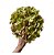 Hortensia Artificial Decor Premium Grande - Imagem 7
