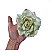 Rosa Decor Perolada Artificial Premium Kit com 2 - Imagem 6