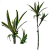 Galho 2 Dracenas Artificial Premium Luxo 85cm - Imagem 1
