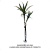 Galho 2 Dracenas Artificial Premium Luxo 85cm - Imagem 5