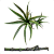 Galho 2 Dracenas Artificial Premium Luxo 85cm - Imagem 6