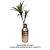 Galho 2 Dracenas Artificial Premium Luxo 85cm - Imagem 3