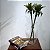 Galho de Dracena Artificial Premium Toque Real 80CM - Imagem 2