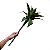 Galho de Dracena Artificial Premium Toque Real 80CM - Imagem 3