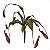 Planta Carnívora Nepenthes Artificial Premium Kit com 6 - Imagem 5