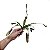 Planta Carnívora Nepenthes Artificial Premium Kit com 6 - Imagem 4