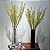 Galho de Samambaia Artificial Premium 80CM Kit com 6 - Imagem 2