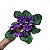 Buquê de Violeta Artificial Premium Kit com 2 - Imagem 6