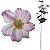 Galho de Anenoma Flor do Vento Artifcial Premium Kit Com 3 - Imagem 4