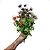 Buquê de Flores Silvestres Artificial Kit Com 6 - Imagem 7