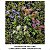 Buquê de Flores Silvestres Artificial Kit Com 6 - Imagem 6