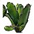 Cacto Artificial Premium de EVA 27CM Kit com 2 - Imagem 4
