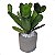 Cacto Artificial Premium de EVA 27CM Kit com 2 - Imagem 6