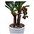 Mini Bananeira Artificial Realista Premium Luxo 45CM - Imagem 4