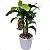 Mini Bananeira Artificial Realista Premium Luxo 45CM - Imagem 1