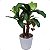 Mini Bananeira Artificial Realista Premium Luxo 45CM - Imagem 5