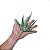 Mini Agave Cacto Artificial Premium Luxo 20CM Kit com 2 - Imagem 2