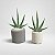 Mini Agave Cacto Artificial Premium Luxo 20CM Kit com 2 - Imagem 3