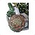Kit 6 Mini Cactos Artificiais Sortidos Premium Realistas - Imagem 6