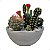 Kit 6 Mini Cactos Artificiais Sortidos Premium Realistas - Imagem 1