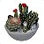 Kit 6 Mini Cactos Artificiais Sortidos Premium Realistas - Imagem 3