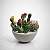 Kit 6 Mini Cactos Artificiais Sortidos Premium Realistas - Imagem 4