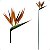 Estrelitzia Pequena Artificial Premium Kit com 4 - Imagem 1