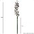 Orquidea Cimbidio Artificial Premium Luxo 90CM - Imagem 5