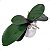 Folha de Orquídea Phalaenopsis Artificial Premium Luxo KIT - Imagem 2