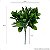 Buquê Verde Folhas de Laranjeira Artificial Planta KIT - Imagem 9