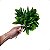 Buquê Verde Folhas de Laranjeira Artificial Planta KIT - Imagem 5
