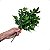 Buquê Verde Folhas Laranjeira Artificial Planta KIT - Imagem 5