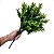 Buquê Verde Folhas Silvestres Artificial Planta Jardim 50CM - Imagem 3