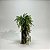 Pendente de Aspargo Artificial 63CM - Imagem 7